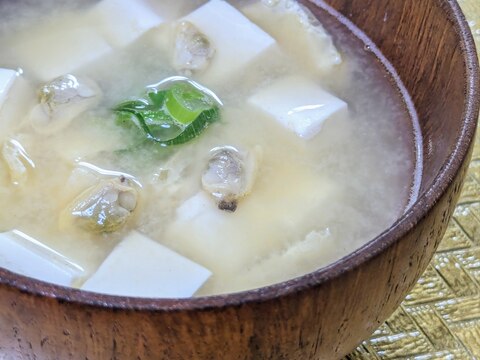 キャンプの朝に〜アサリ缶で栄養とれるお味噌汁〜